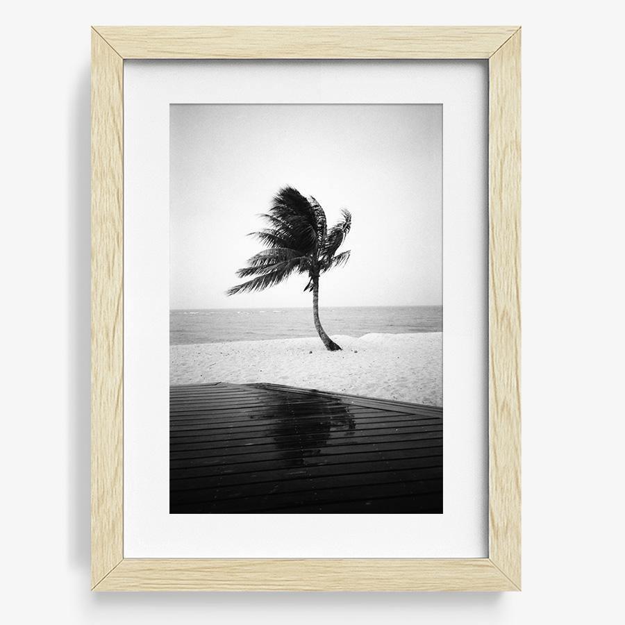 Photography by Isaac Zoller