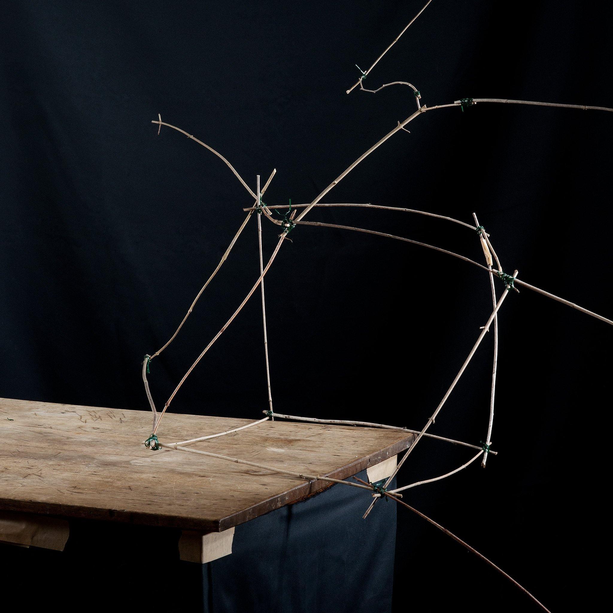 Photograph by Ilka Kramer