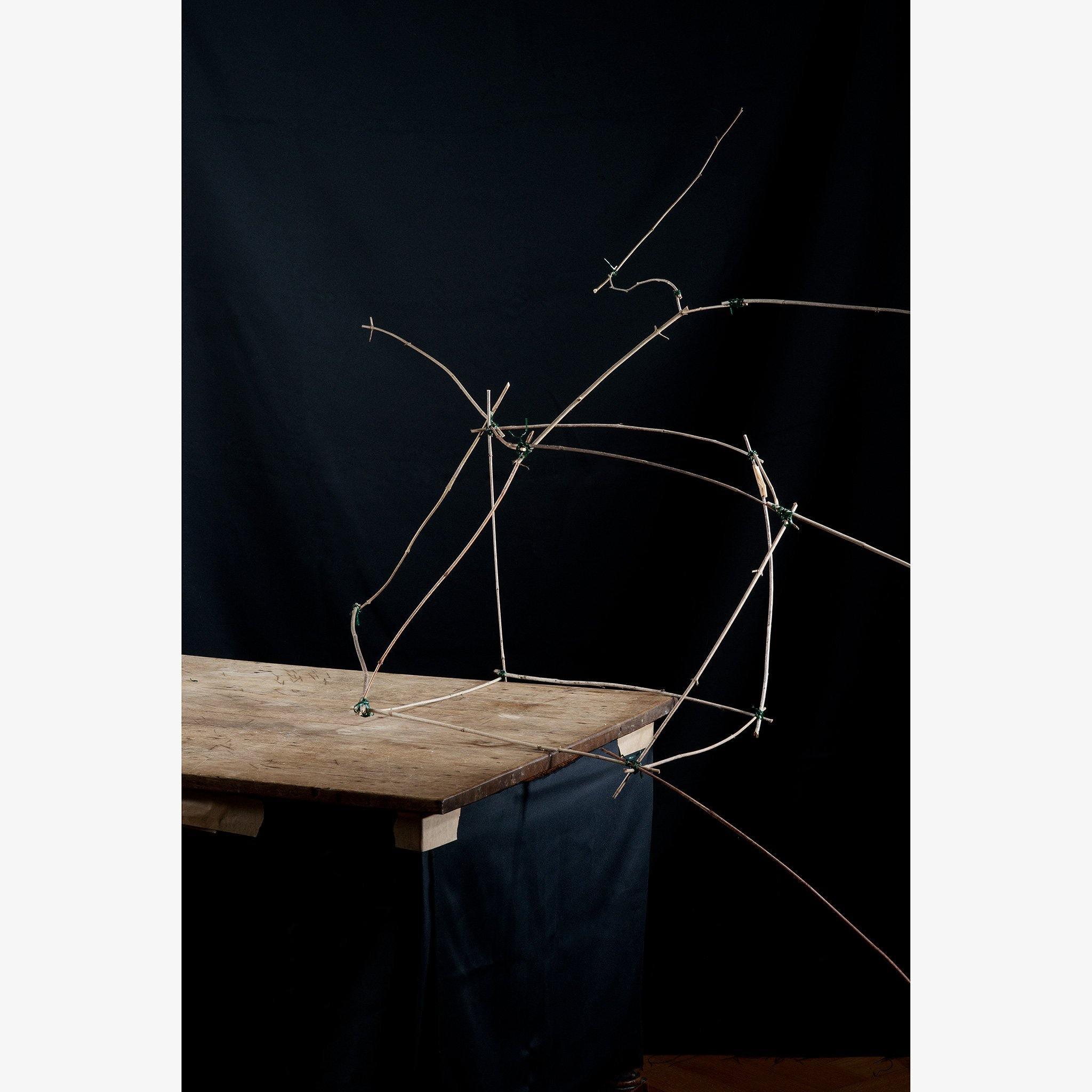 Photograph by Ilka Kramer