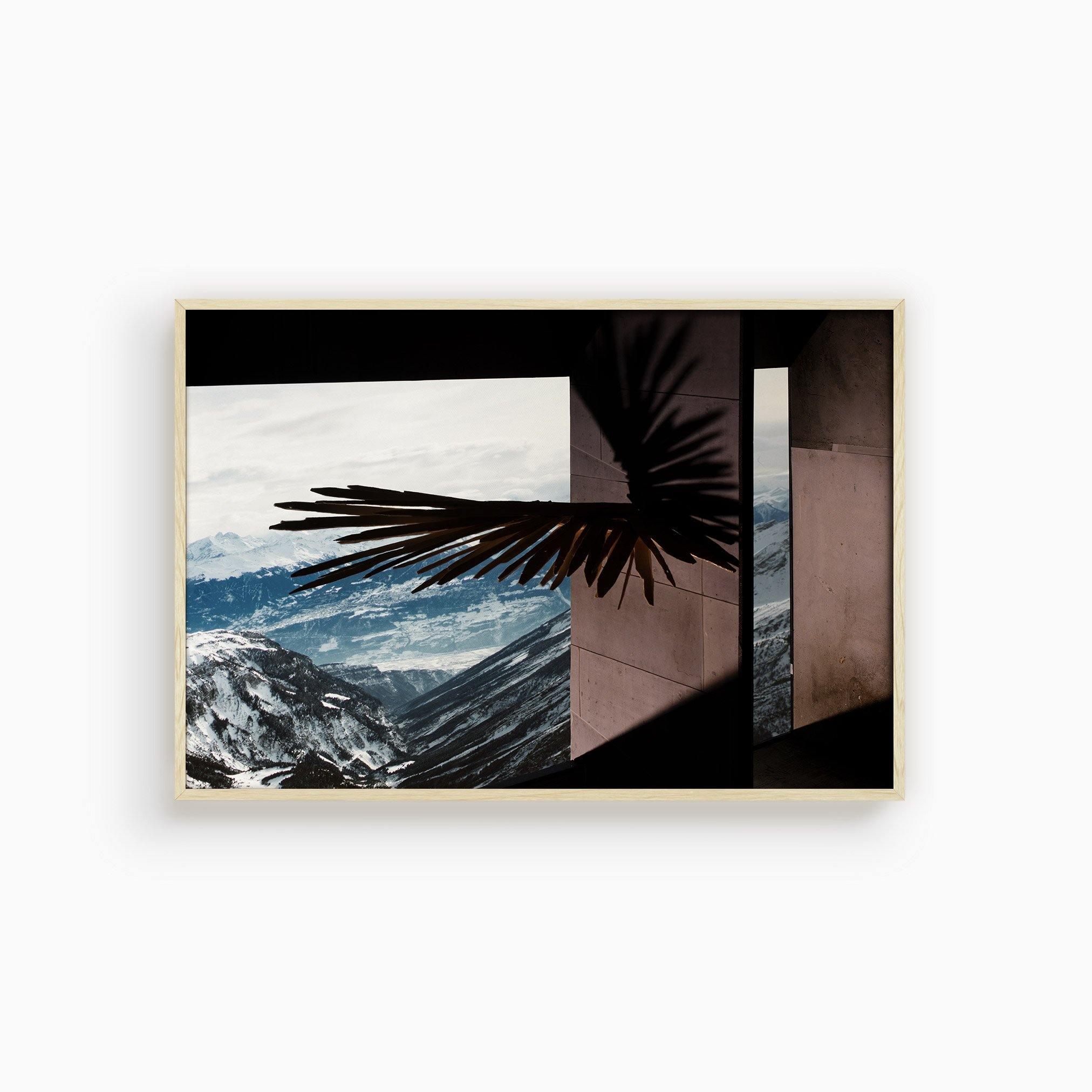 Photograph by Ilka Kramer