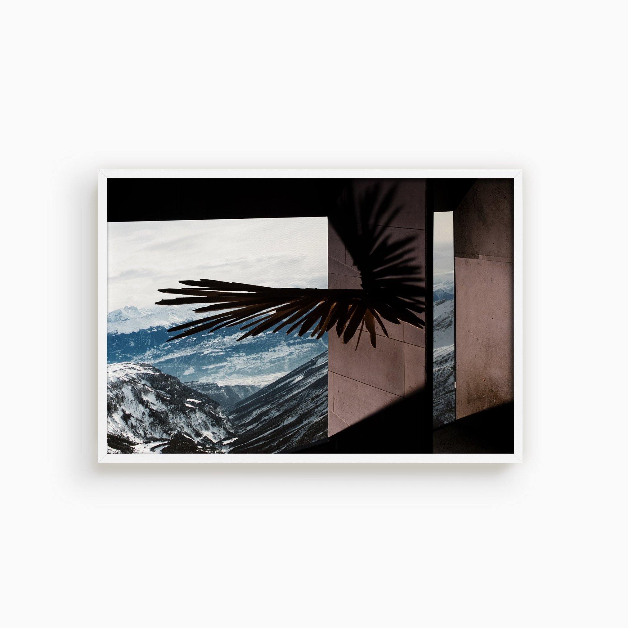 Photograph by Ilka Kramer