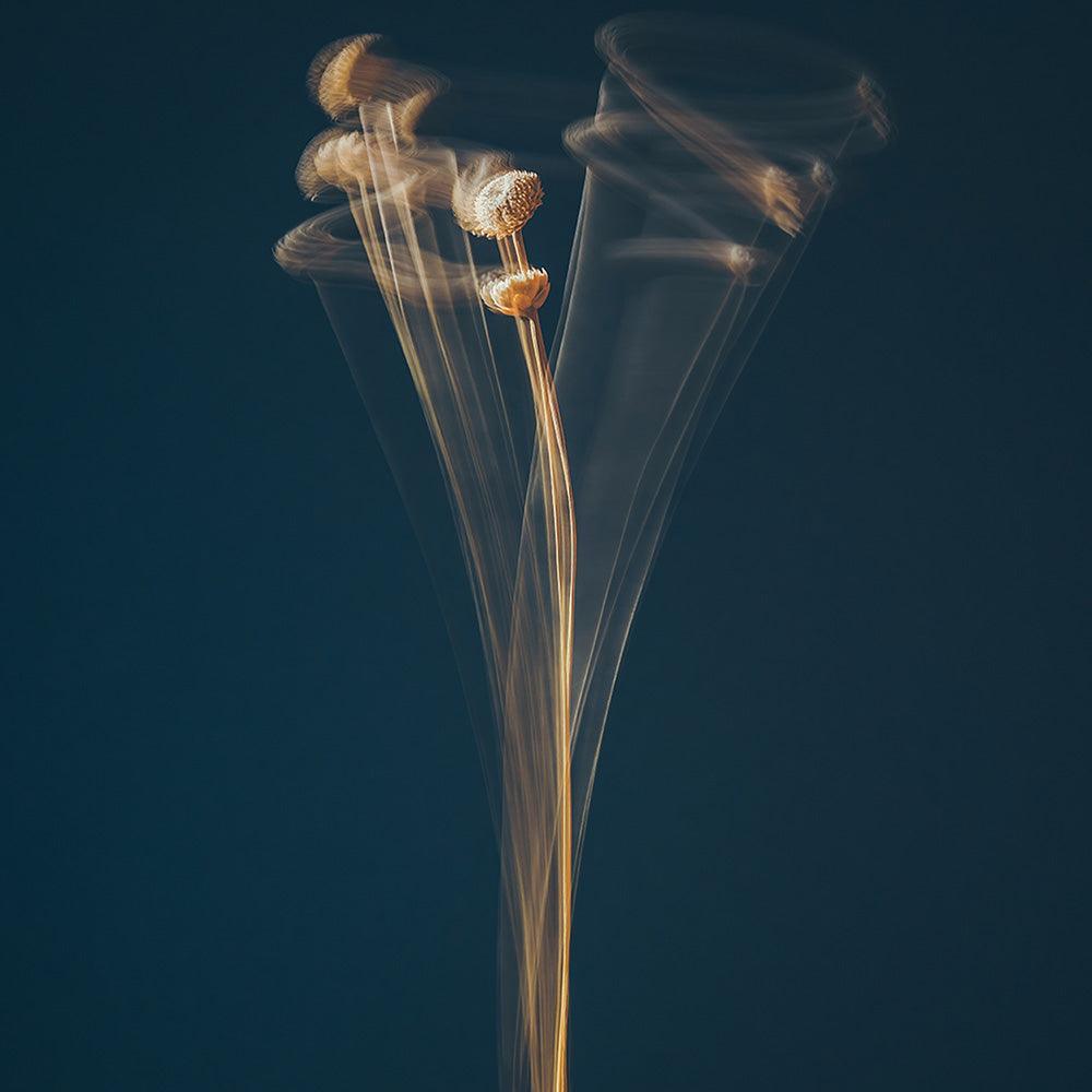 Photograph by Jan Prengel