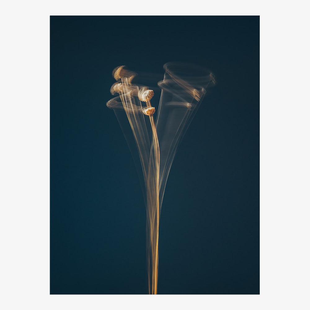 Photograph by Jan Prengel