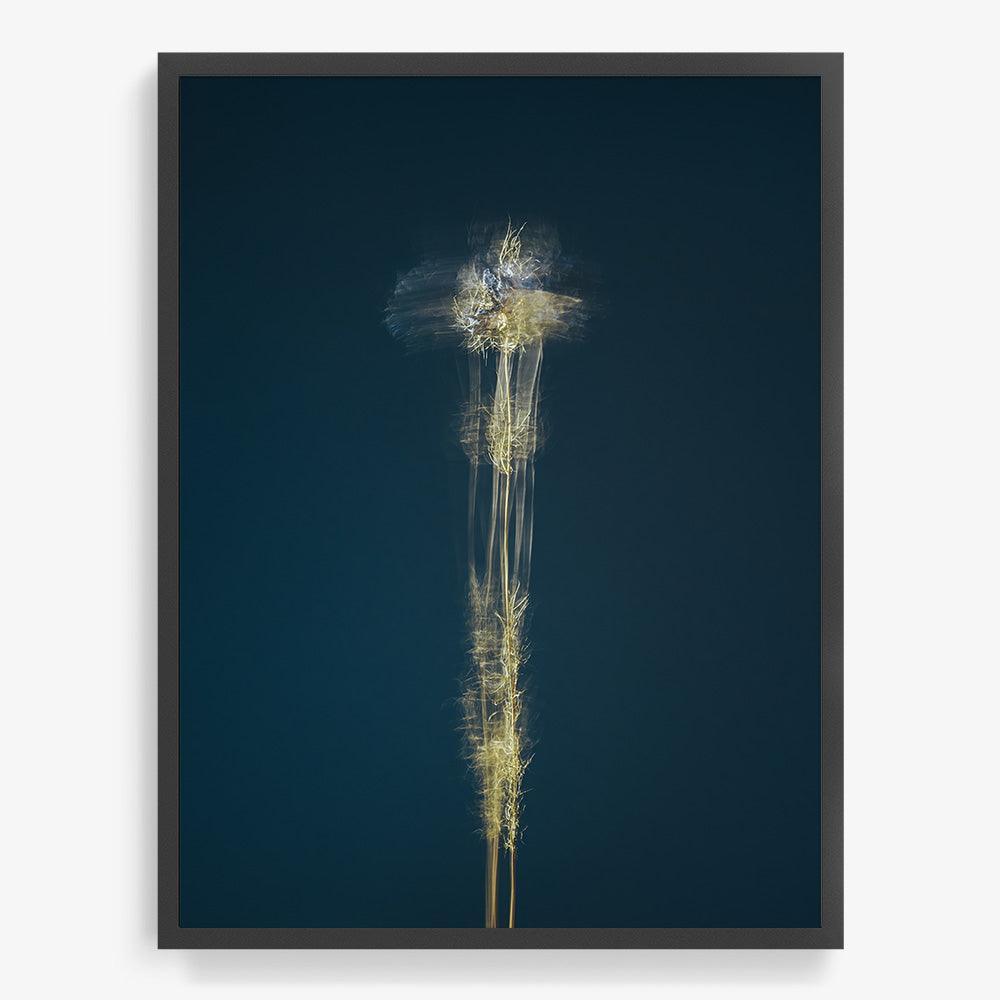 Photograph by Jan Prengel