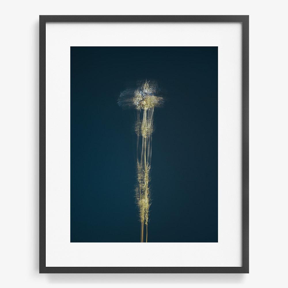 Photograph by Jan Prengel