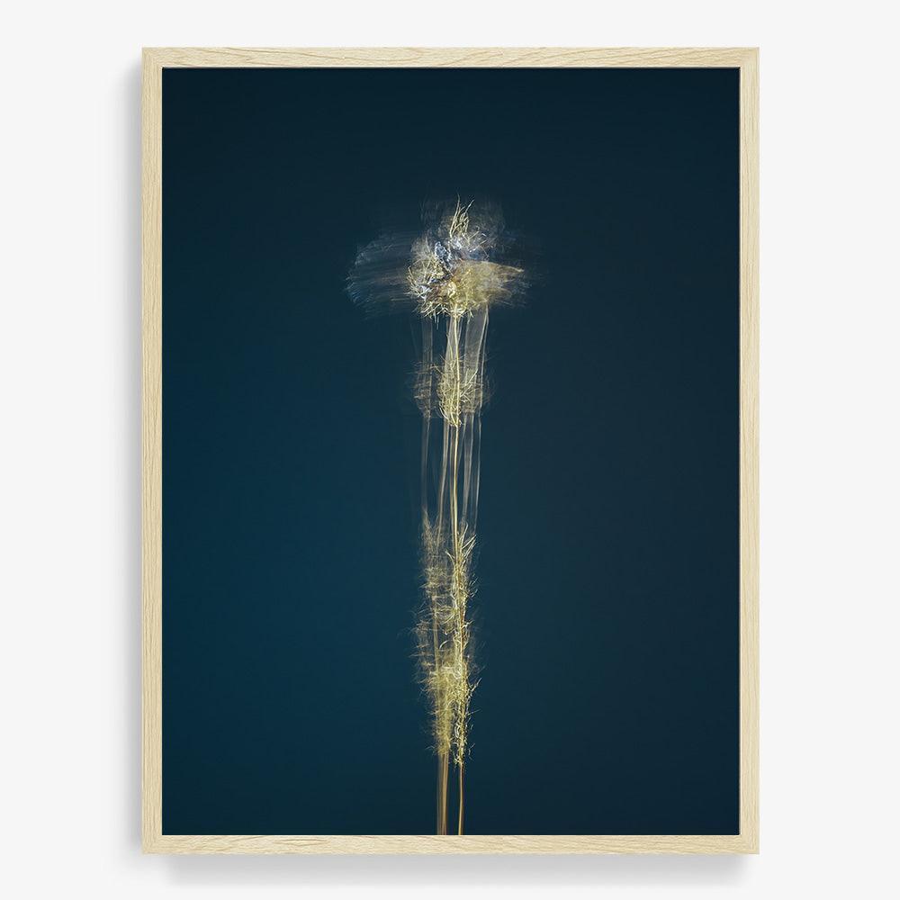 Photograph by Jan Prengel