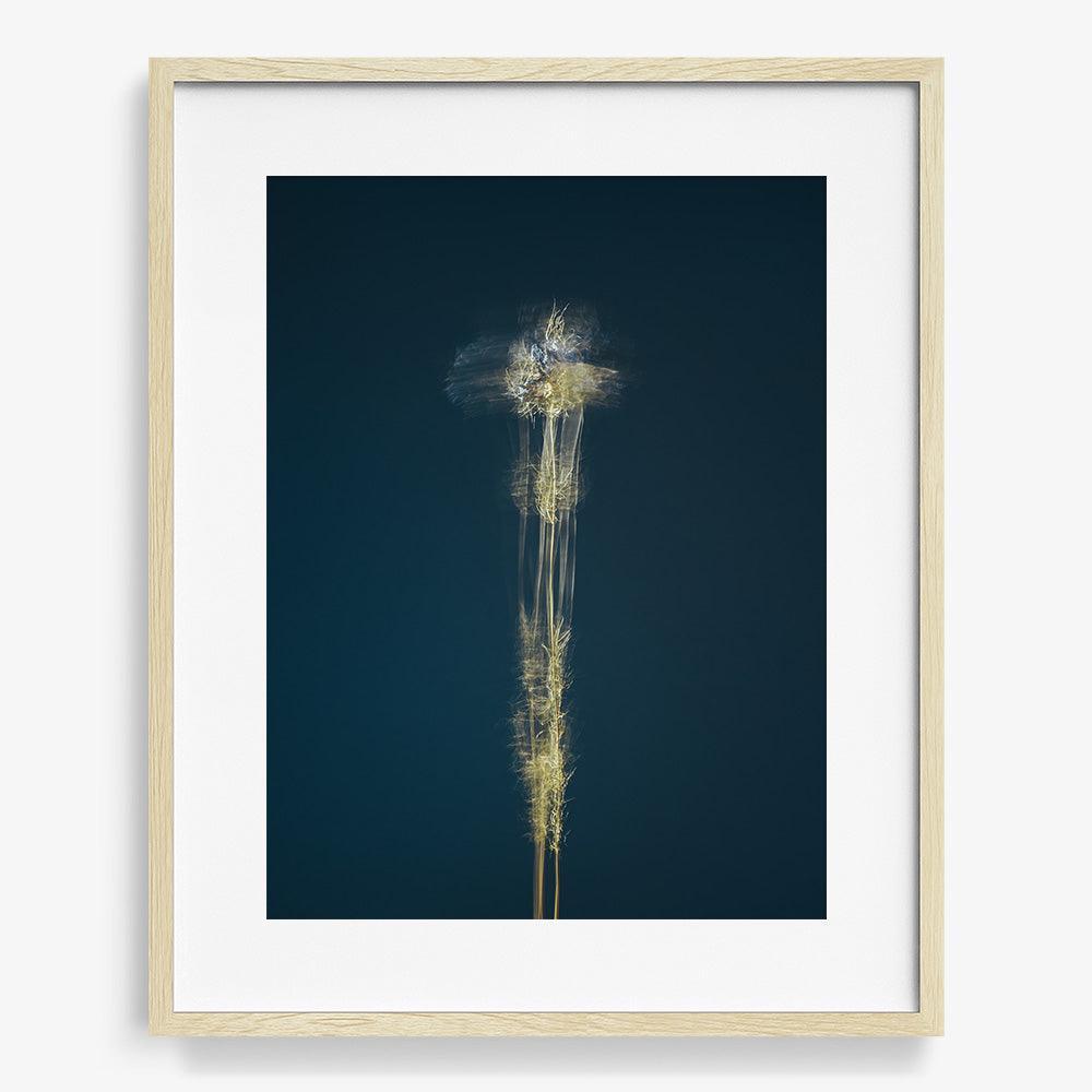 Photograph by Jan Prengel