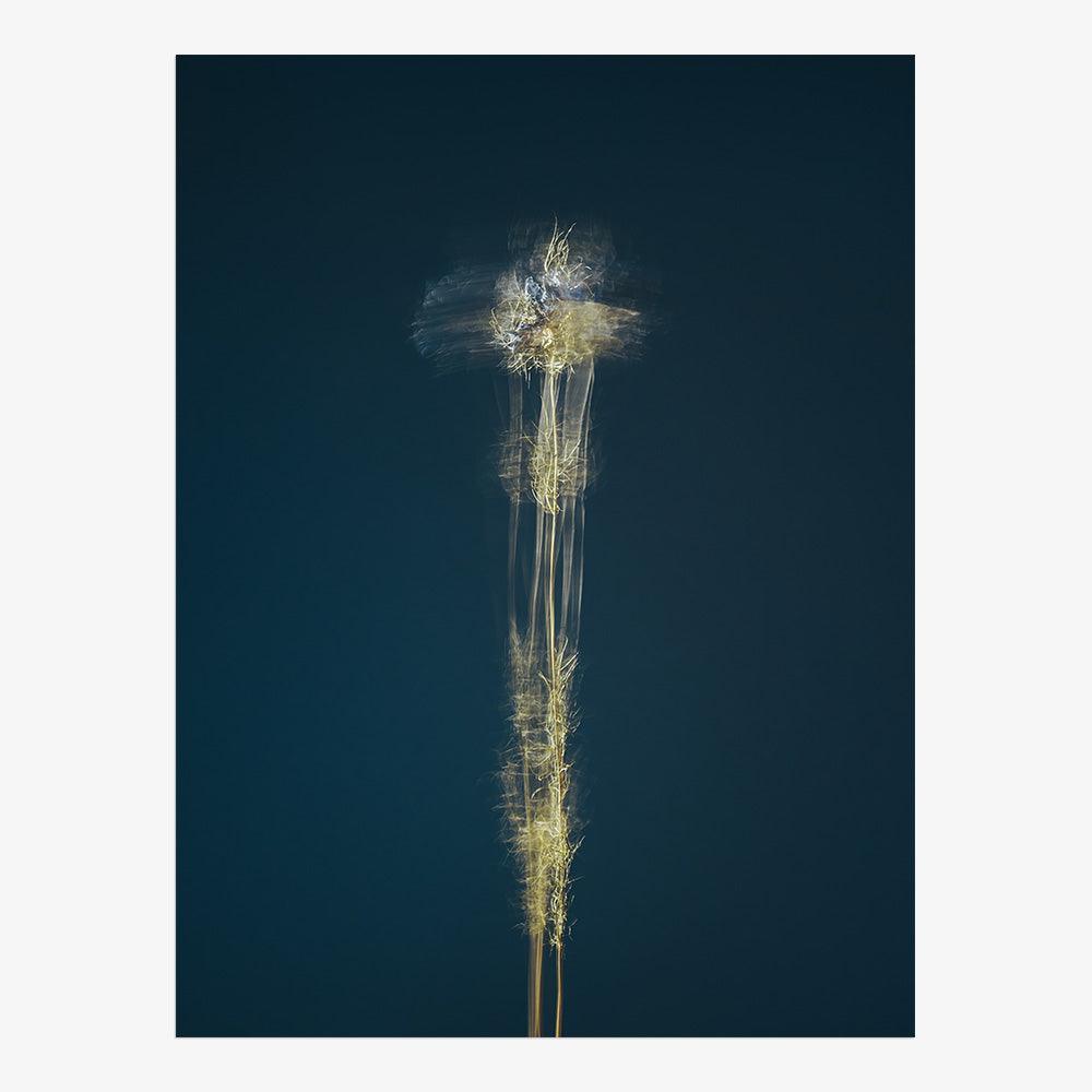 Photograph by Jan Prengel