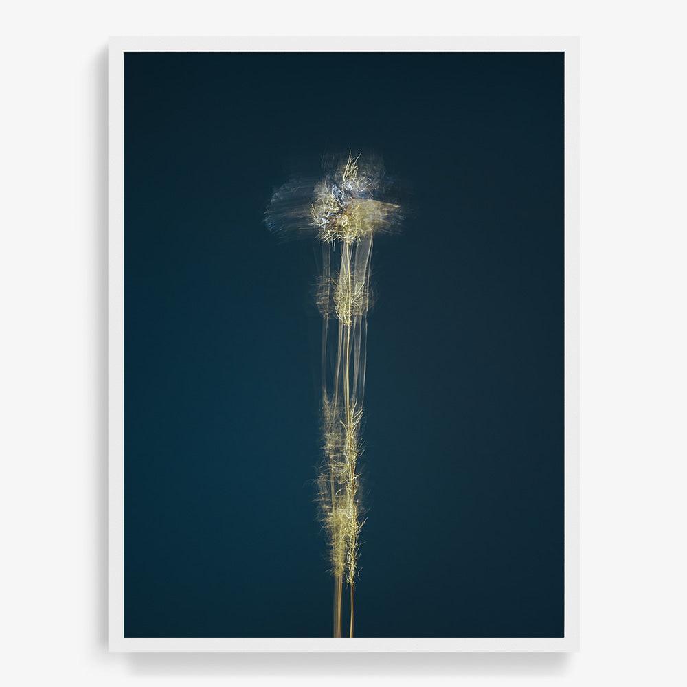 Photograph by Jan Prengel