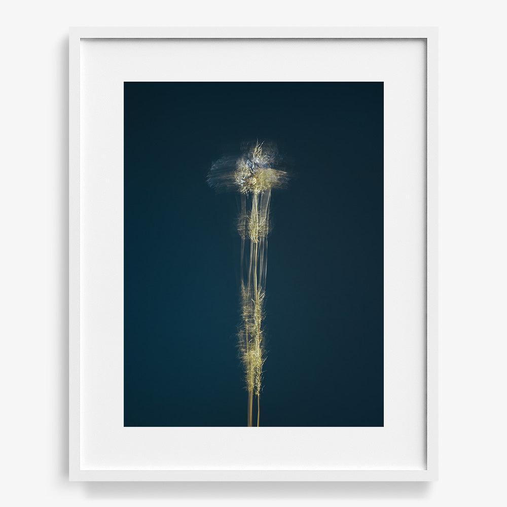 Photograph by Jan Prengel