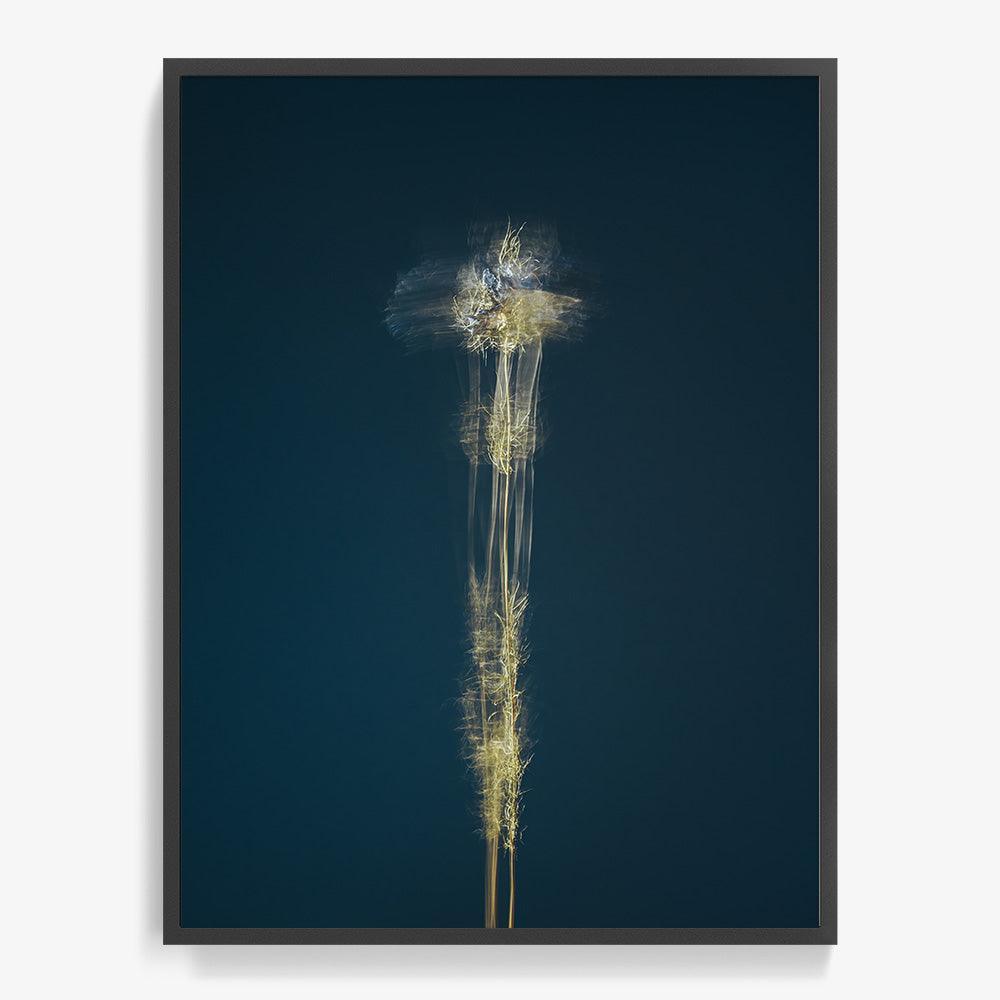 Photograph by Jan Prengel