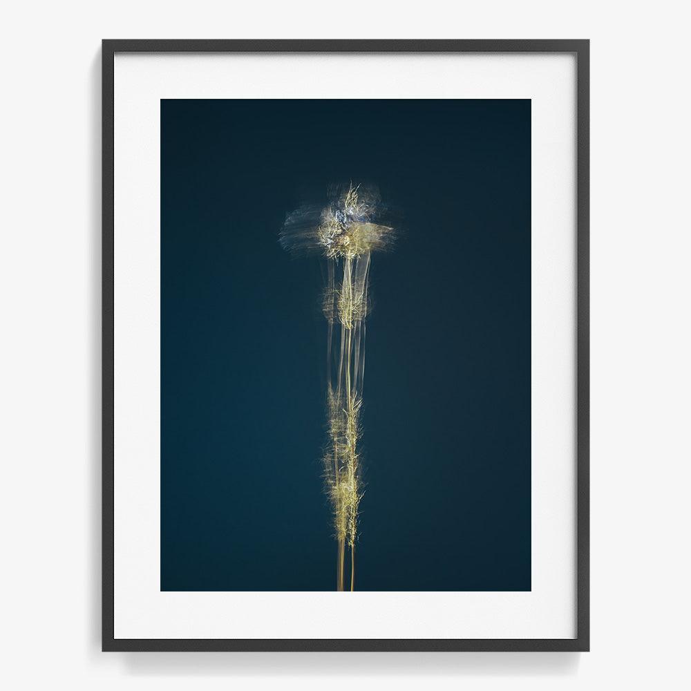 Photograph by Jan Prengel