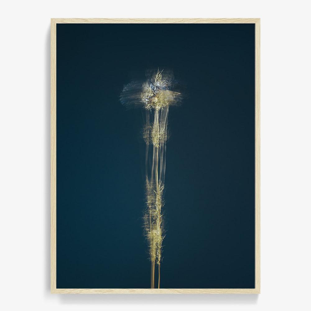 Photograph by Jan Prengel