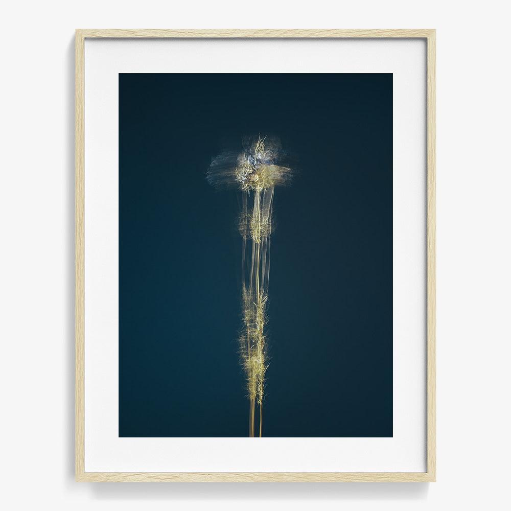 Photograph by Jan Prengel