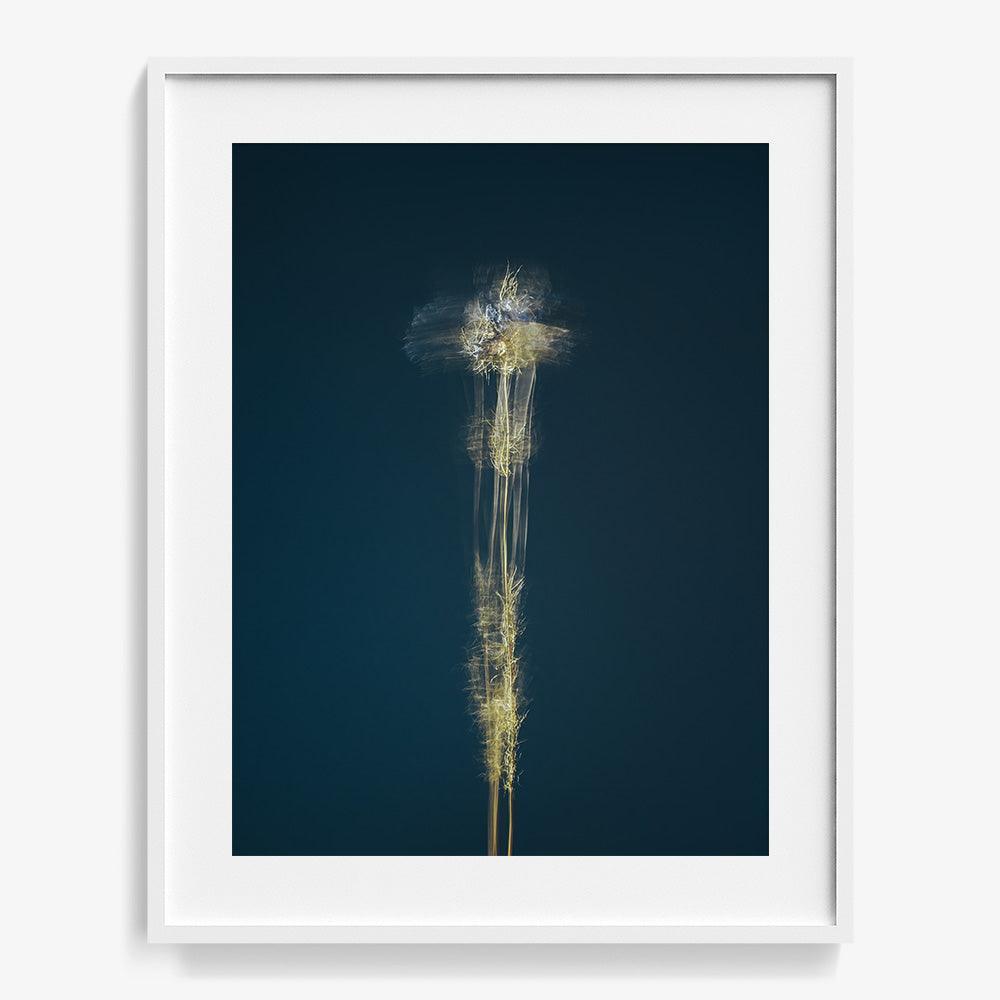 Photograph by Jan Prengel