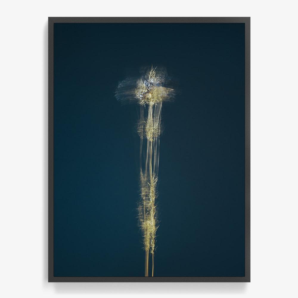 Photograph by Jan Prengel