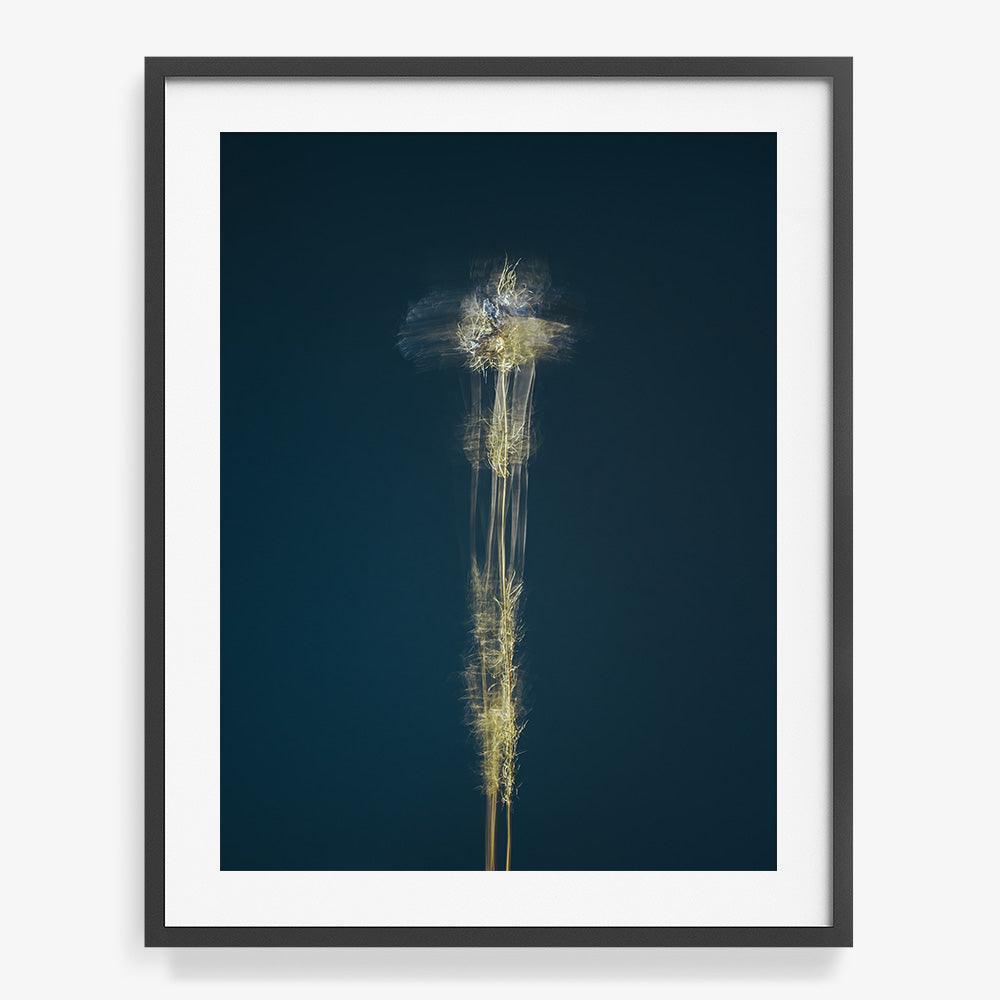 Photograph by Jan Prengel