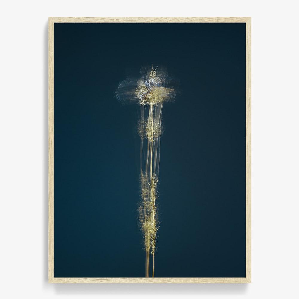 Photograph by Jan Prengel