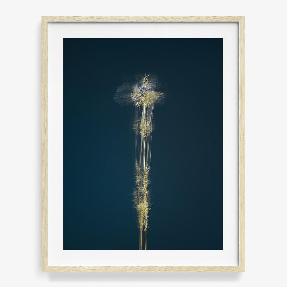 Photograph by Jan Prengel