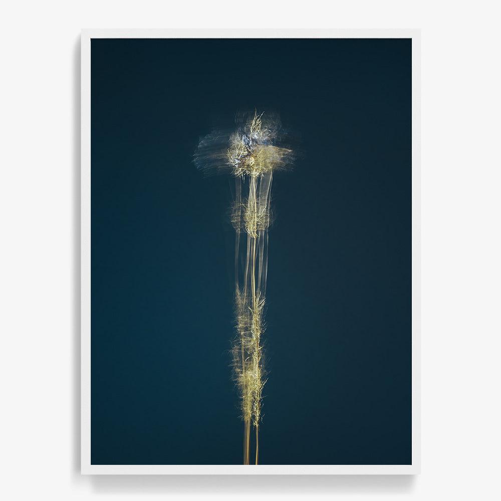 Photograph by Jan Prengel