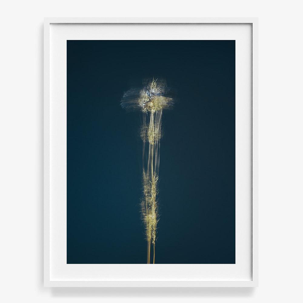 Photograph by Jan Prengel