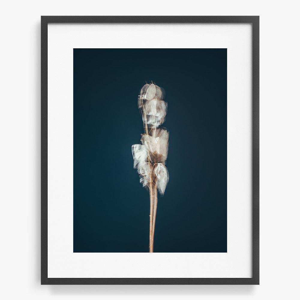 Photograph by Jan Prengel