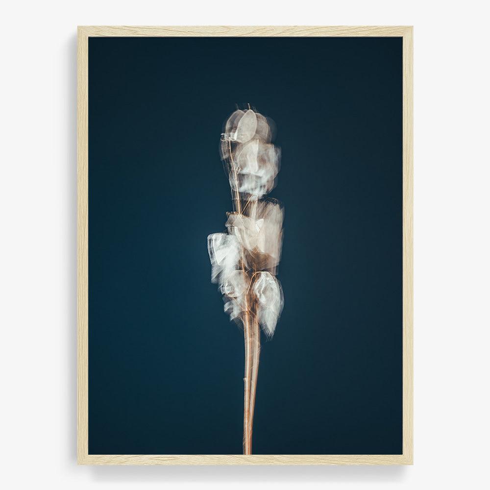 Photograph by Jan Prengel