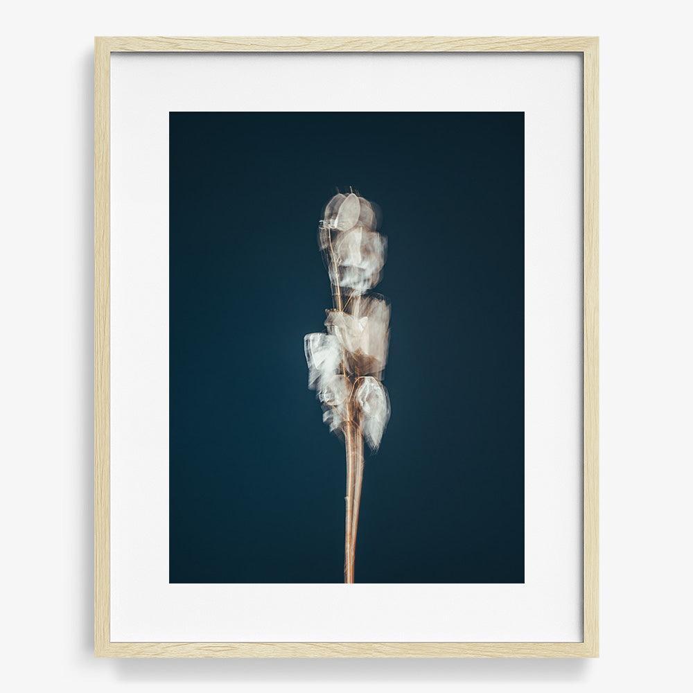 Photograph by Jan Prengel