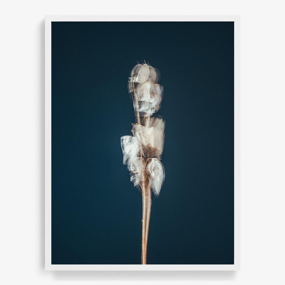 Photograph by Jan Prengel