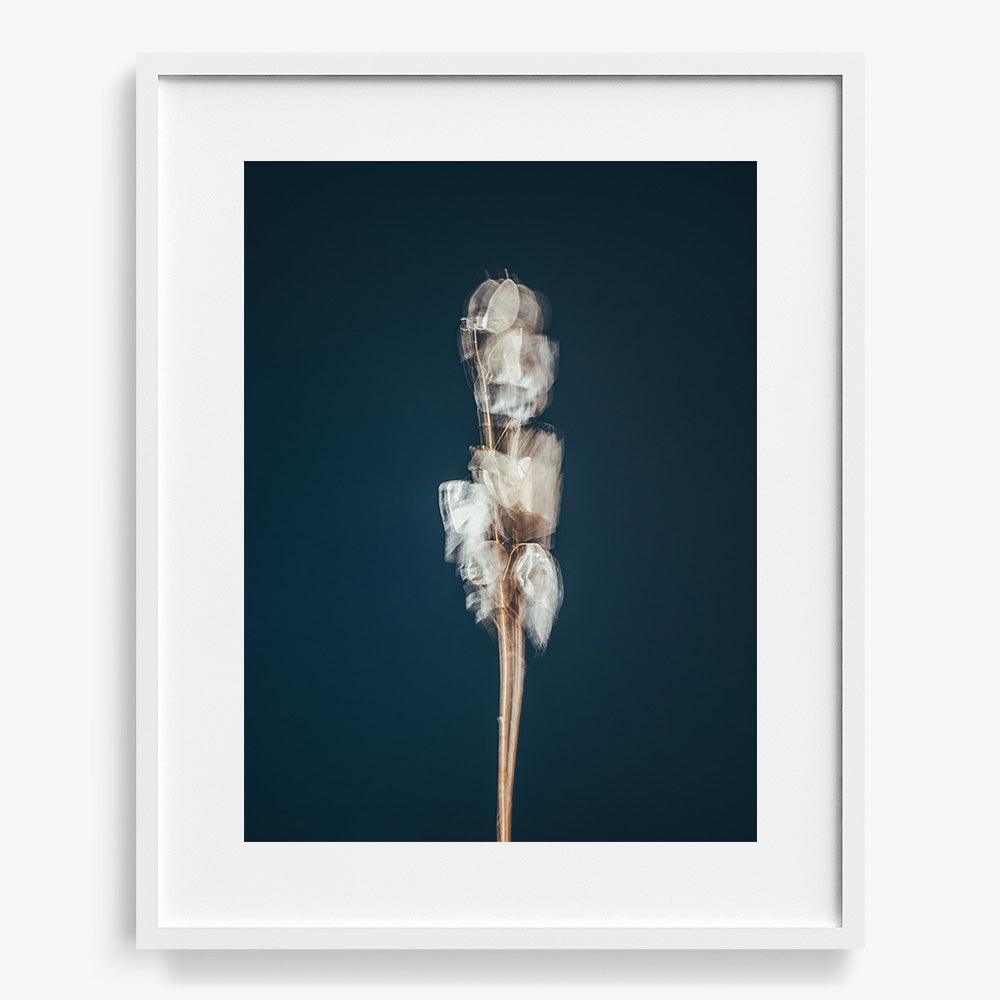 Photograph by Jan Prengel