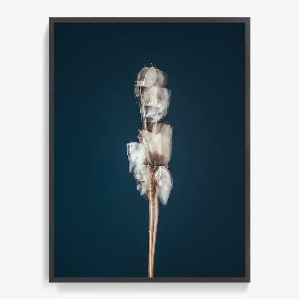 Photograph by Jan Prengel