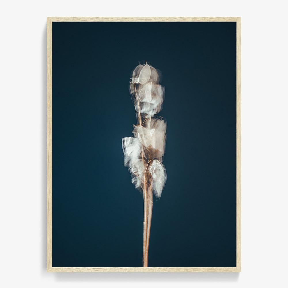 Photograph by Jan Prengel