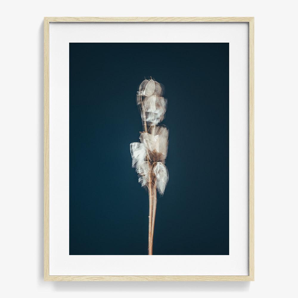 Photograph by Jan Prengel