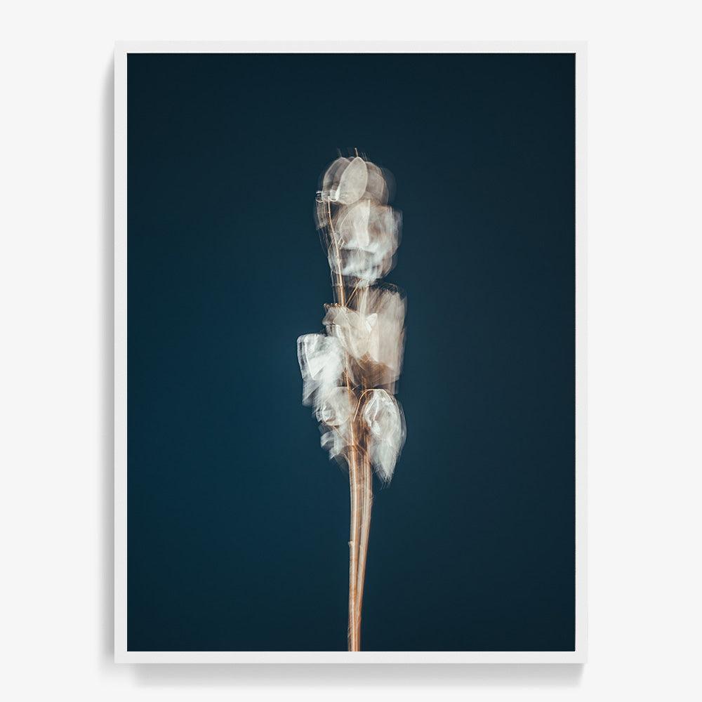 Photograph by Jan Prengel