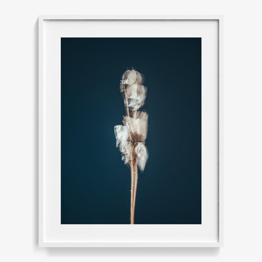 Photograph by Jan Prengel