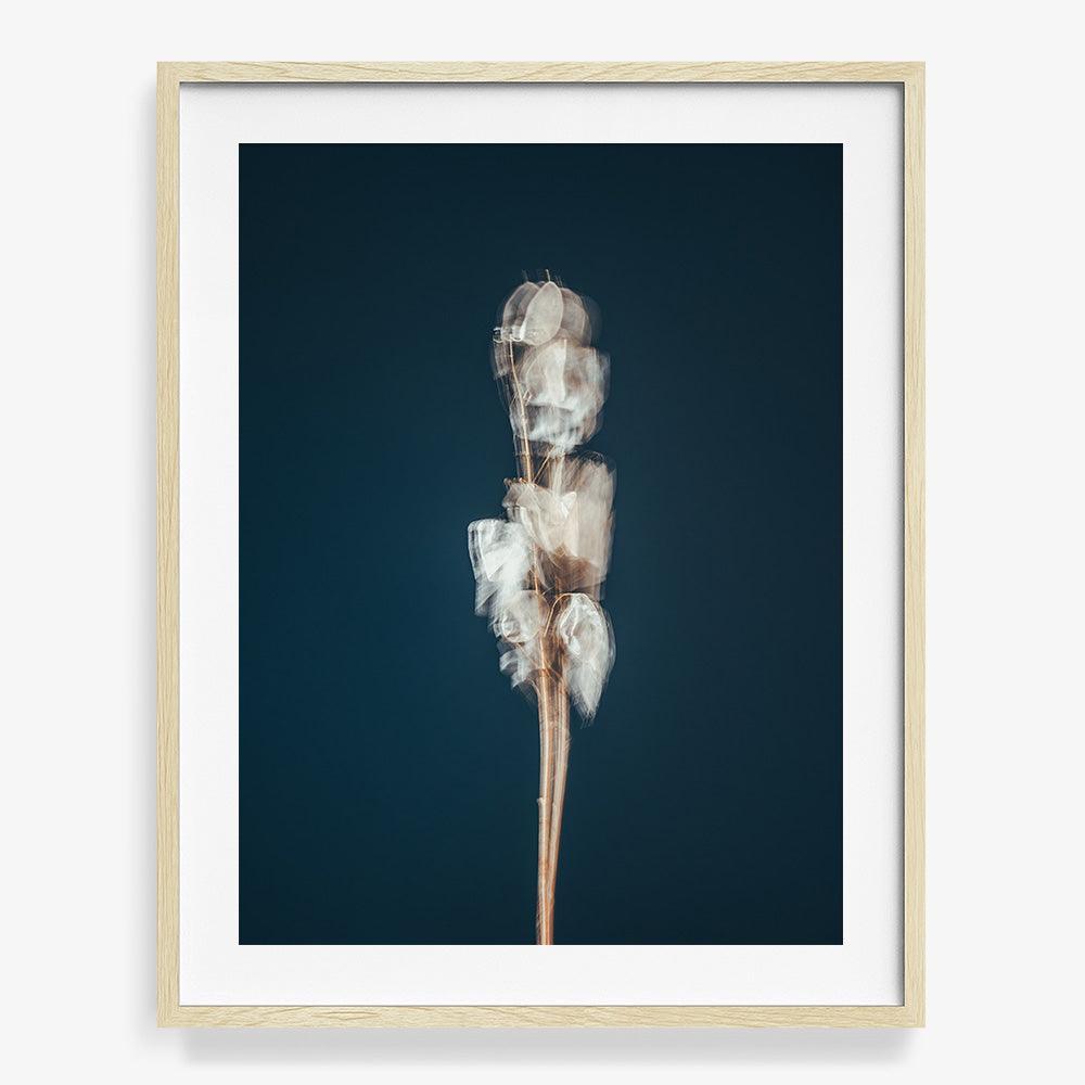 Photograph by Jan Prengel