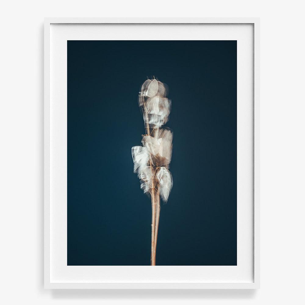 Photograph by Jan Prengel