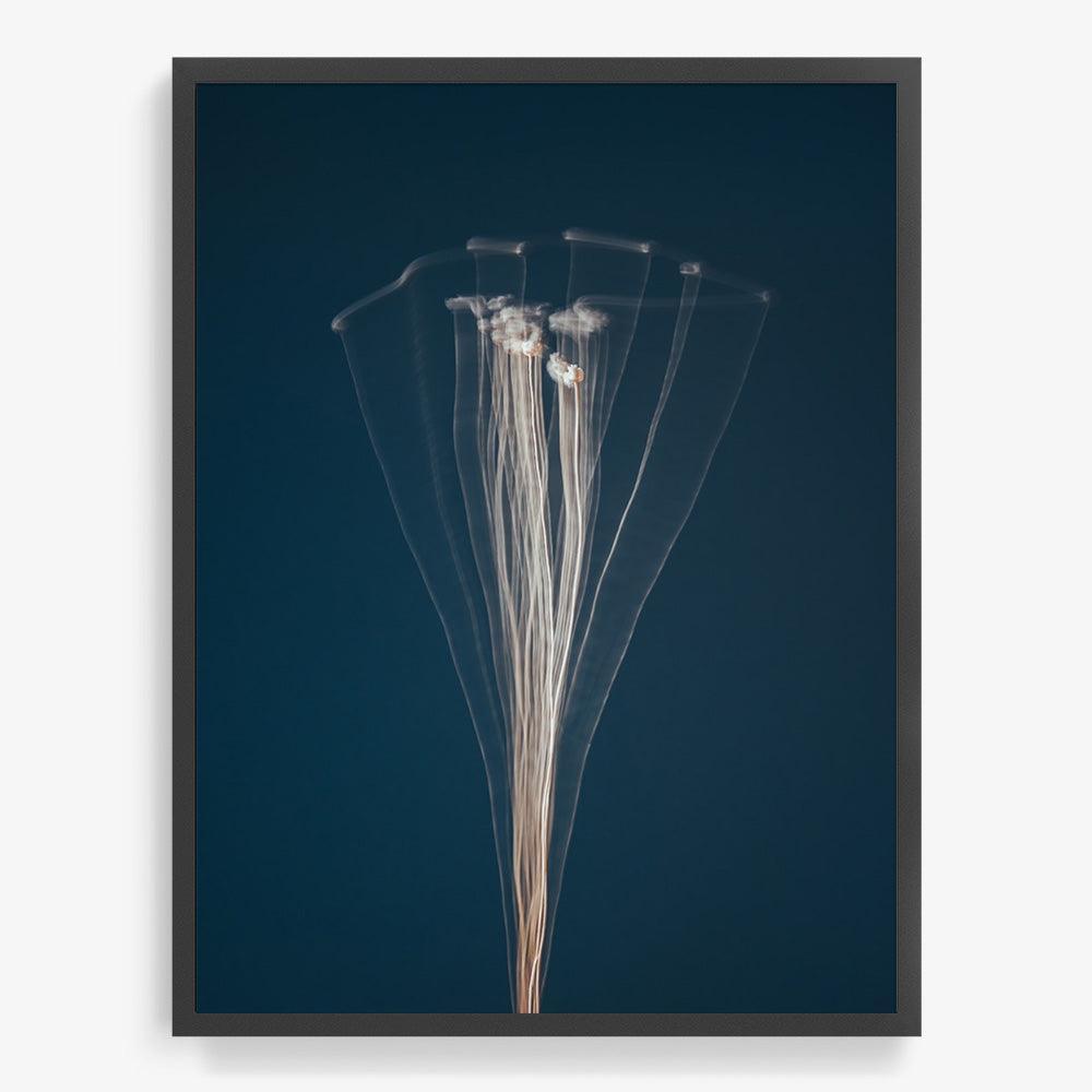 Photograph by Jan Prengel