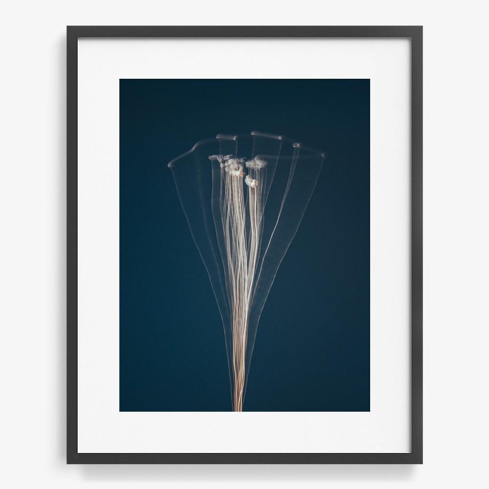 Photograph by Jan Prengel