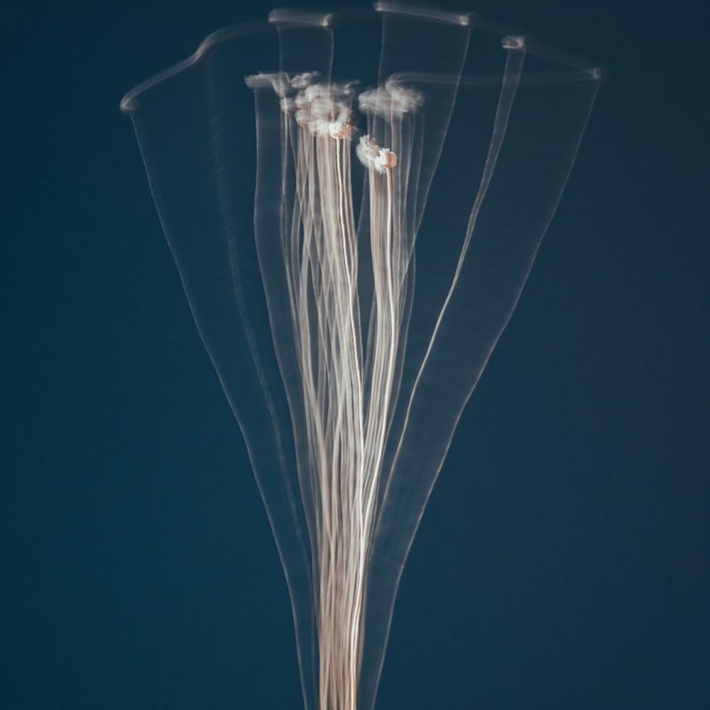 Photograph by Jan Prengel