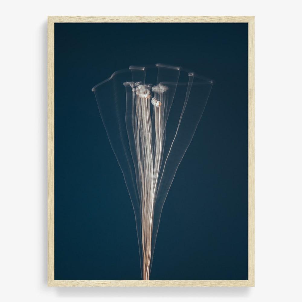 Photograph by Jan Prengel