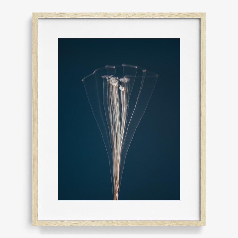 Photograph by Jan Prengel