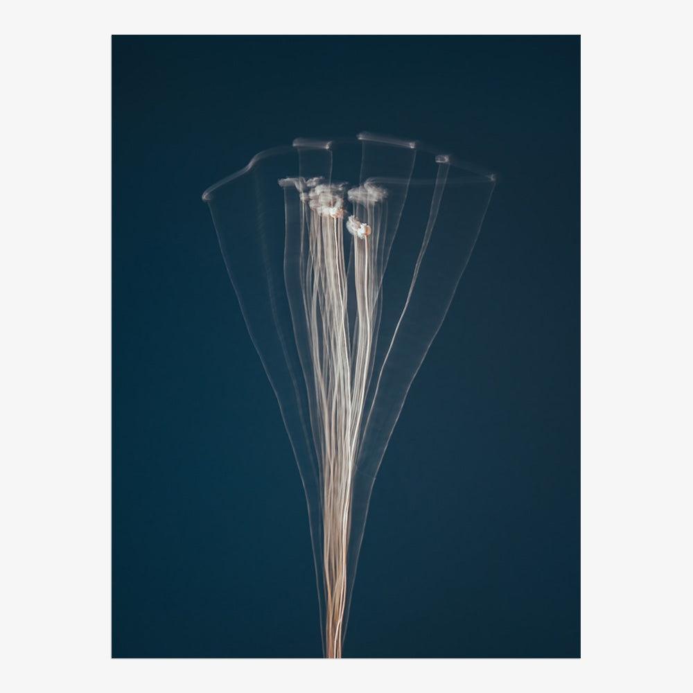 Photograph by Jan Prengel