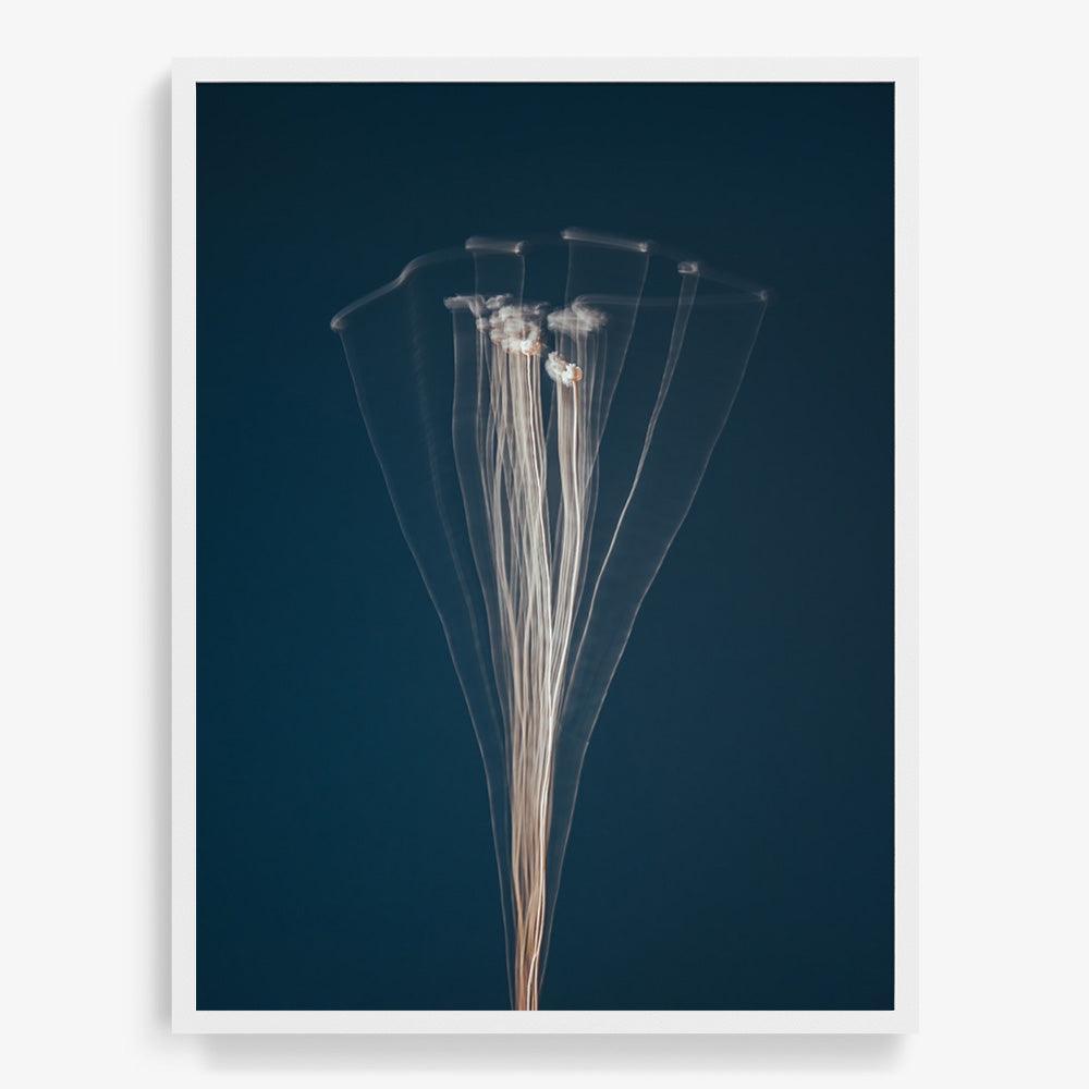 Photograph by Jan Prengel