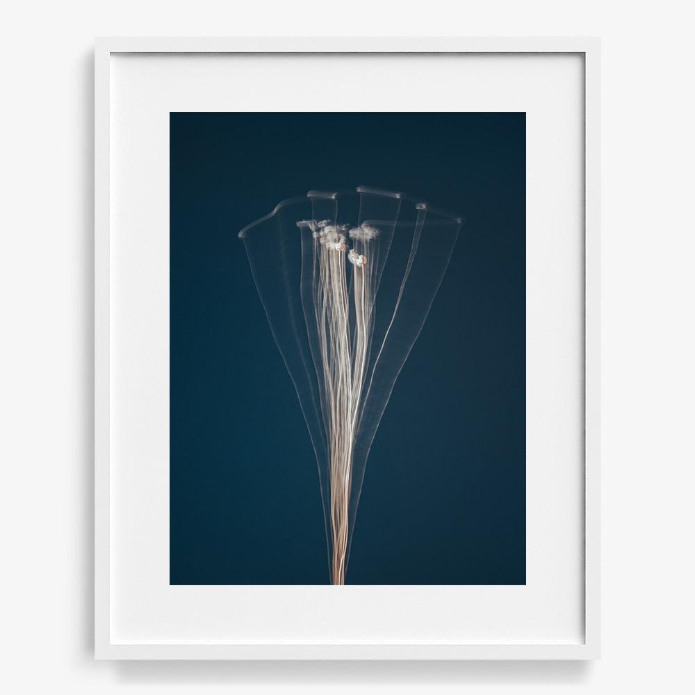 Photograph by Jan Prengel