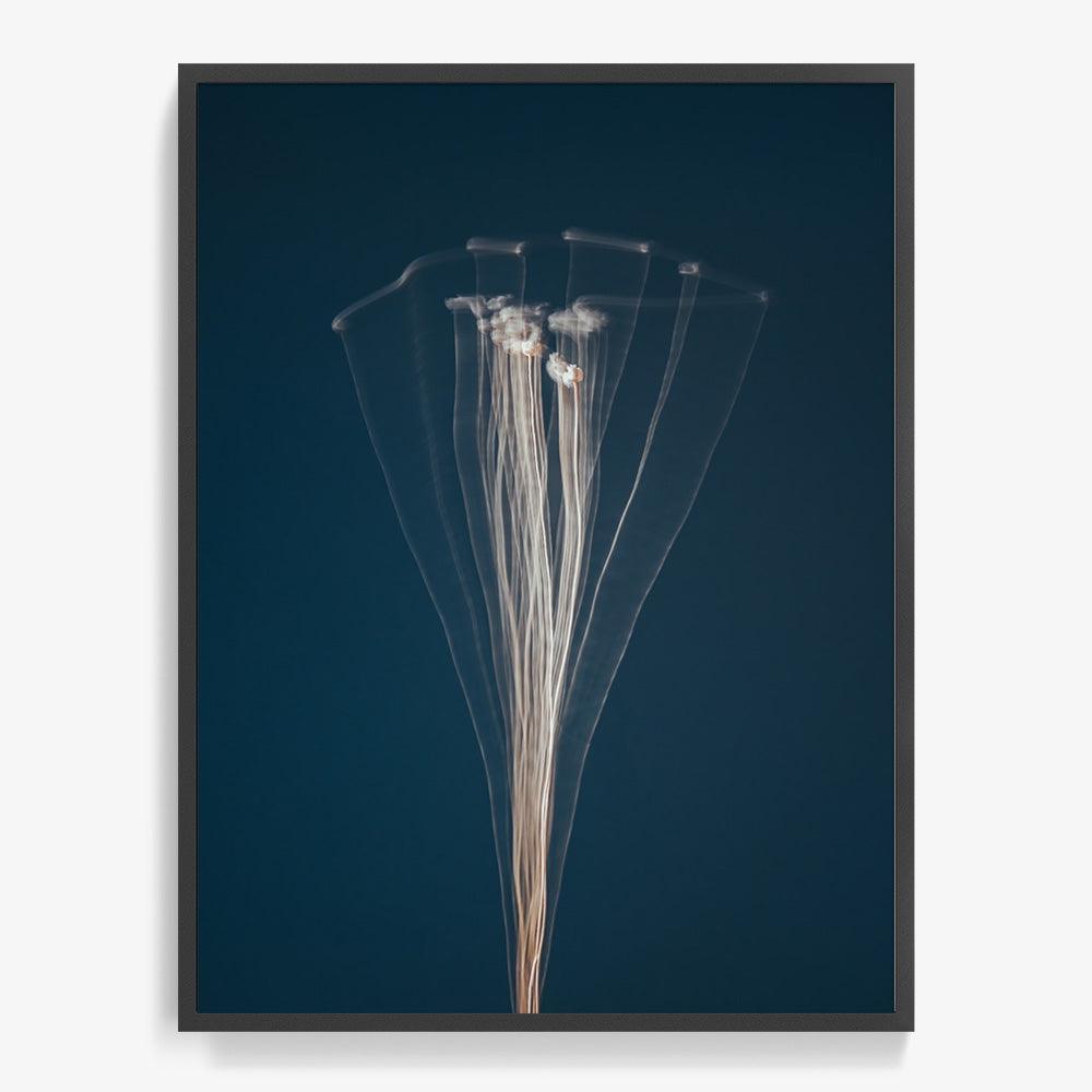 Photograph by Jan Prengel