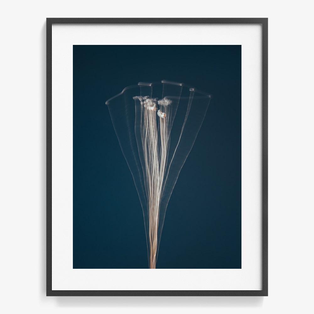 Photograph by Jan Prengel