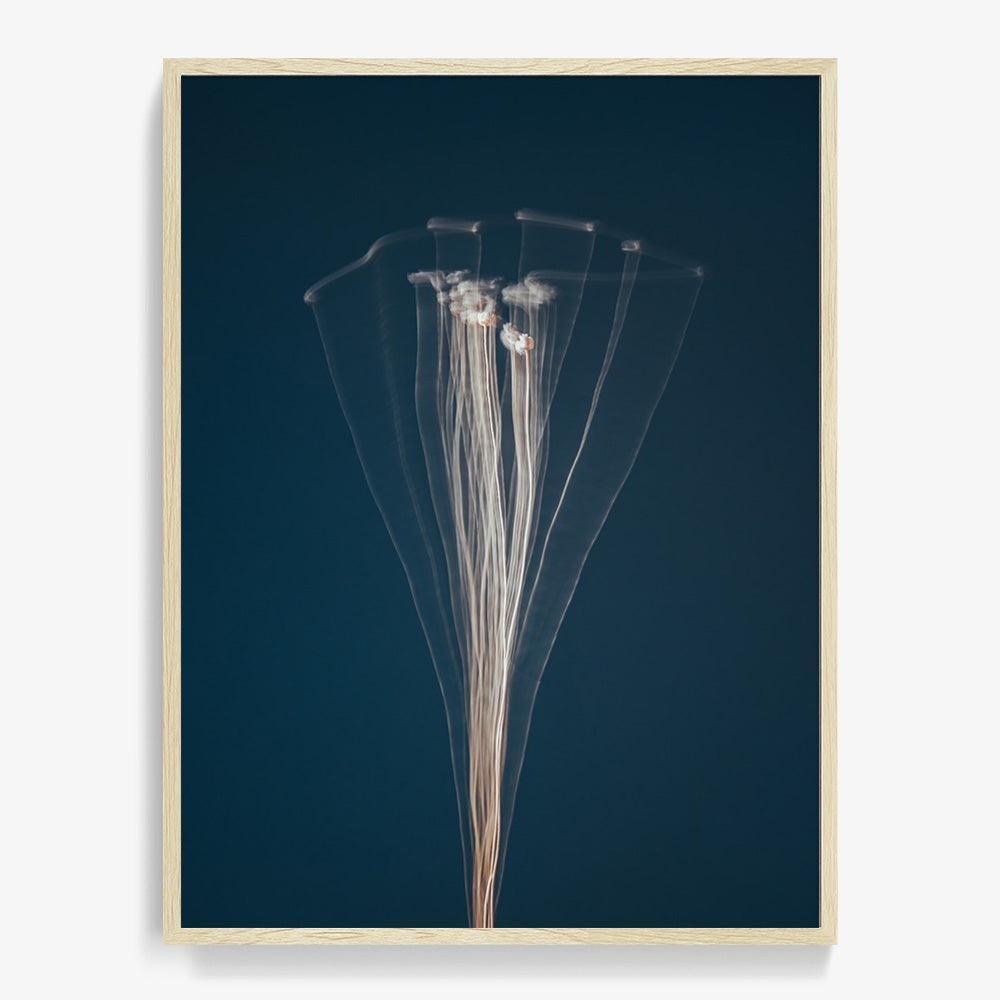 Photograph by Jan Prengel