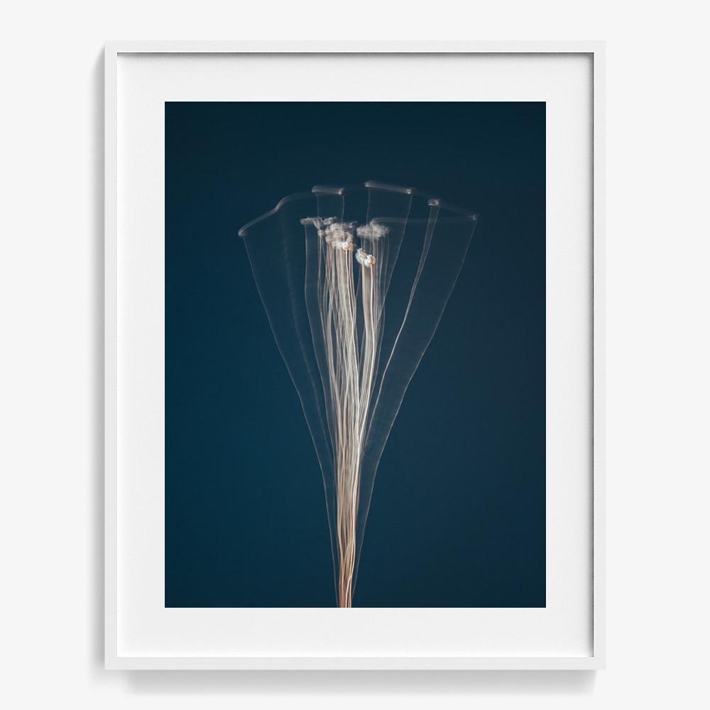 Photograph by Jan Prengel