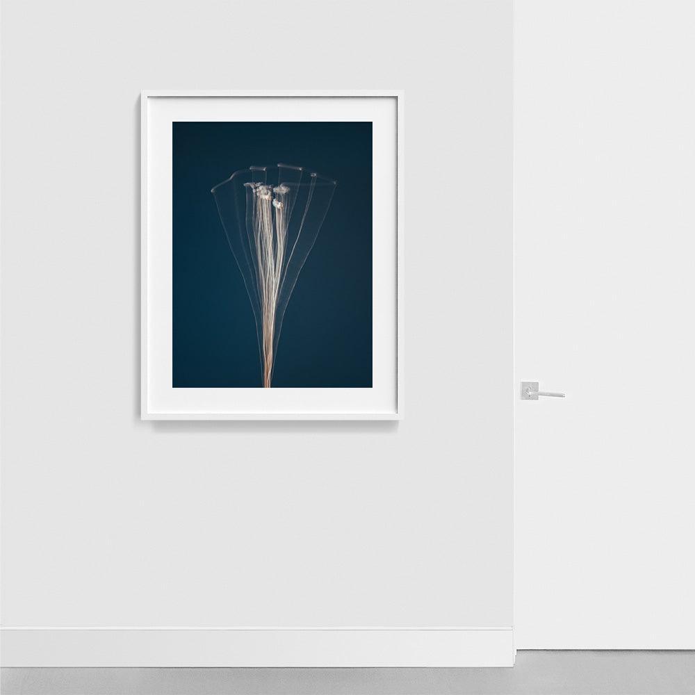 Photograph by Jan Prengel